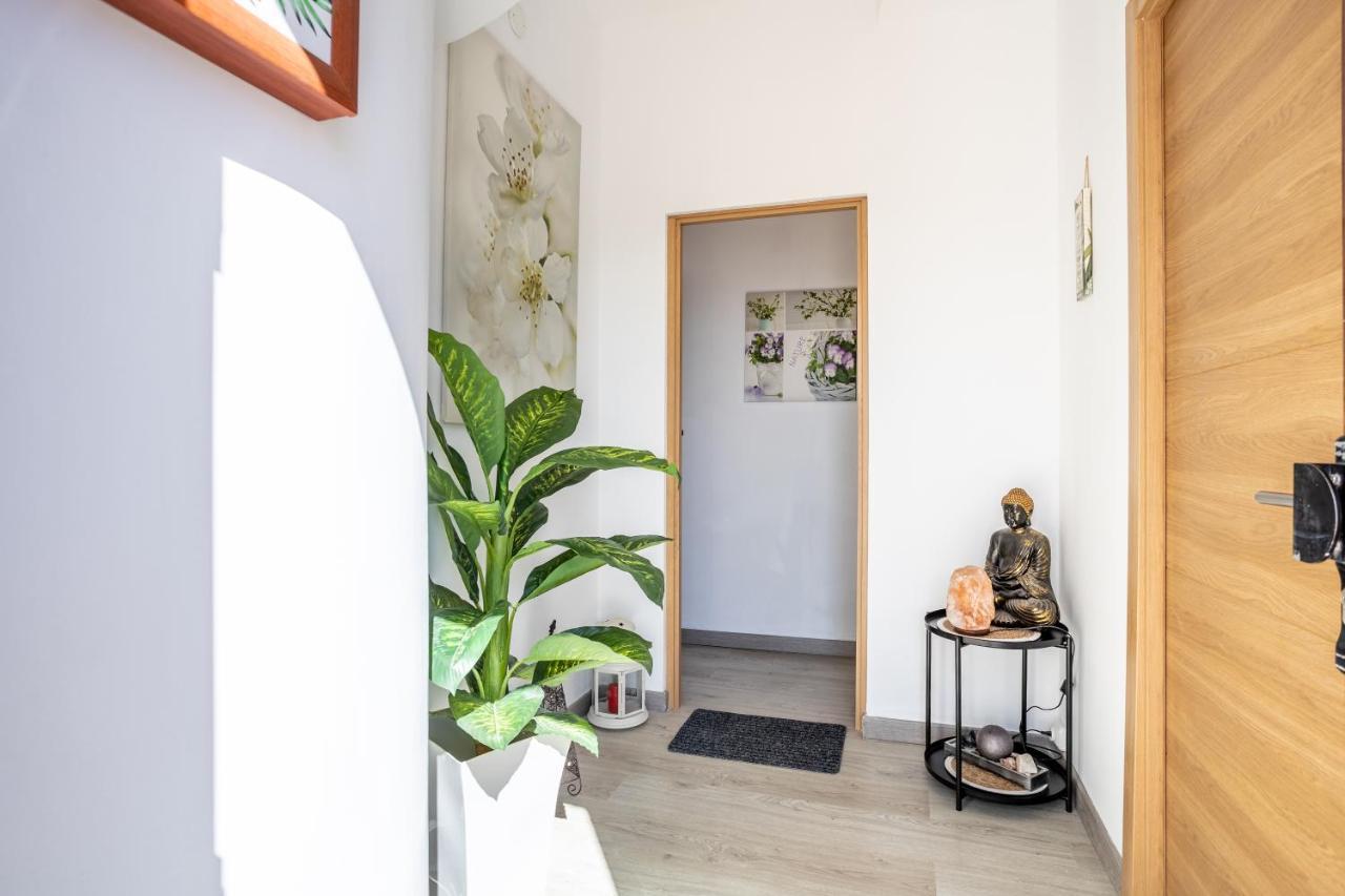 Medano Time Apartment El Medano  Exterior photo